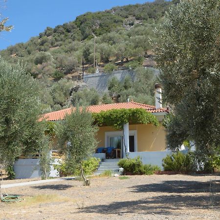 Melinda Holiday House Plomari Exterior photo